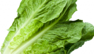 فوائد الخس على الريق