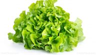 فوائد اكل الخس كل يوم