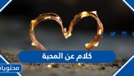 كلام عن المحبة .. أجمل الكلام وما قيل عن الحب والمودة