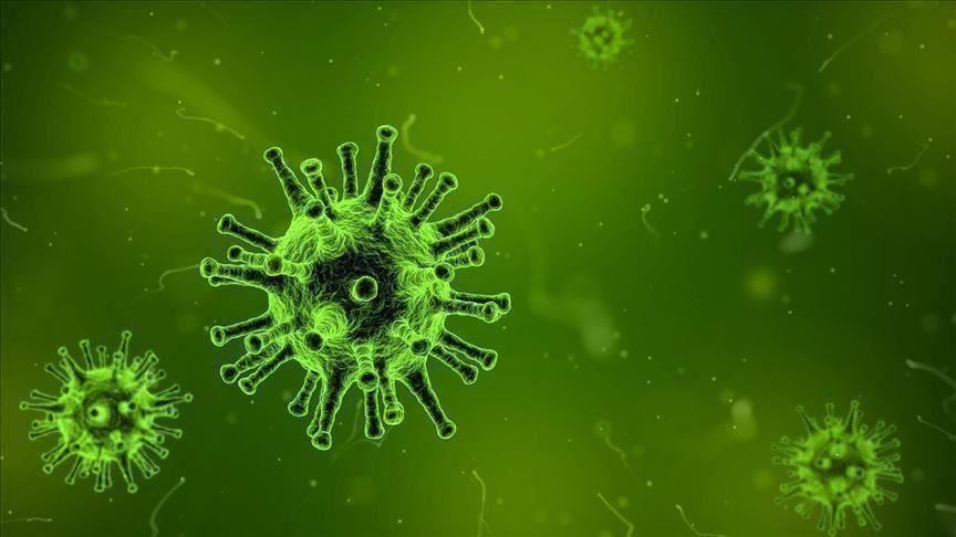 فيروس كورونا وزارة الصحة السعودية تعلن تسجيل أول حالة إصابة بالفيروس والاردن وتونس 1