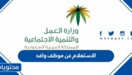 الاستعلام عن موظف وافد برقم الاقامة أو الجواز عبر موقع وزارة العمل