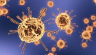 الفرق بين كورونا والانفلونزا