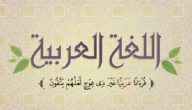 بحث عن اللغة العربية