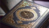 كم عدد صفحات القران الكريم