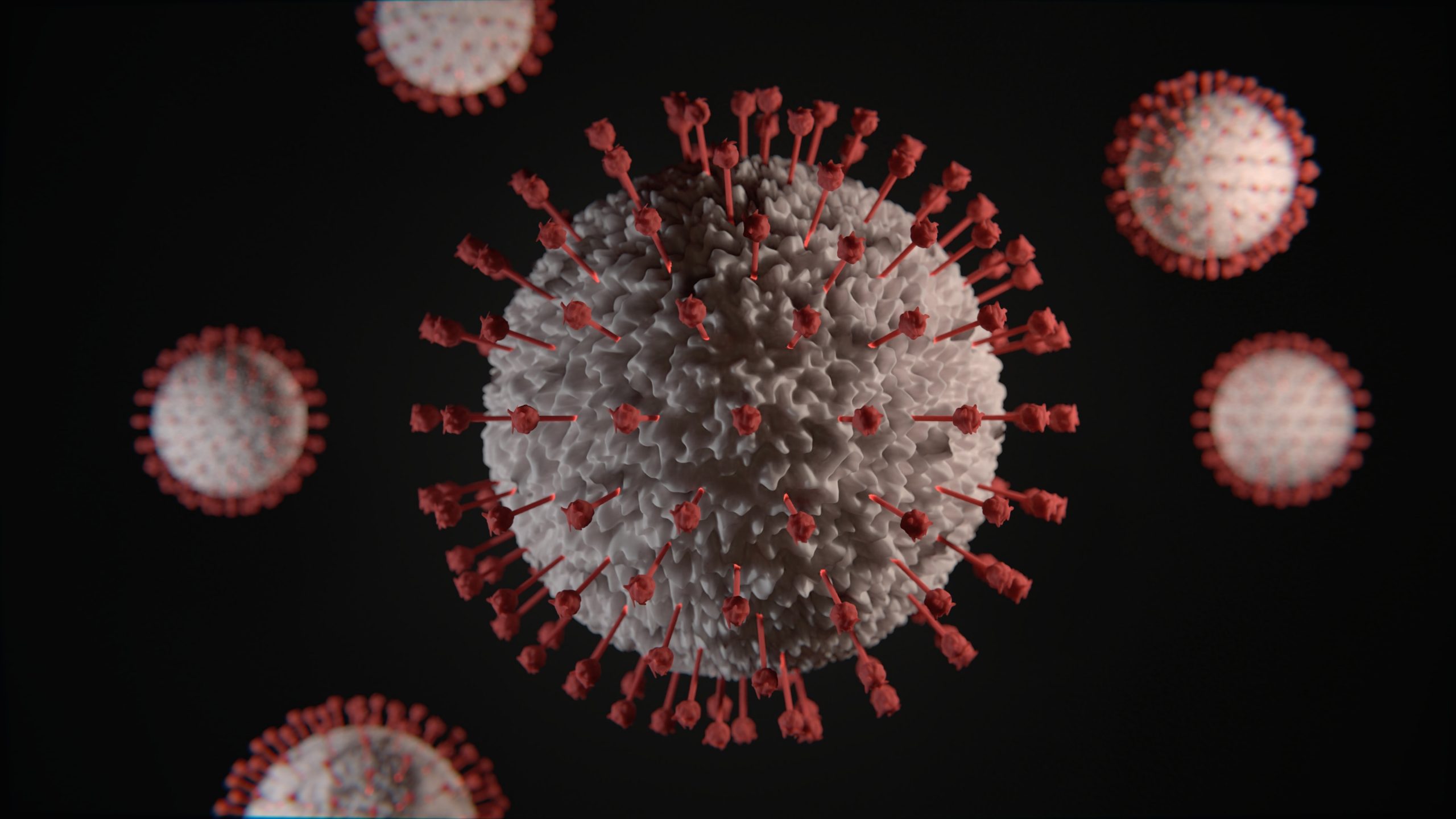 كيف تنتقل الفيروسات من الحيوانات للانسان