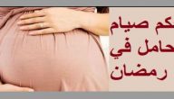 حكم صيام المرضع والحامل