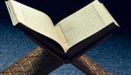 ما عدد صفحات القران الكريم