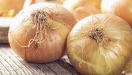 كم عدد السعرات الحرارية في البصل