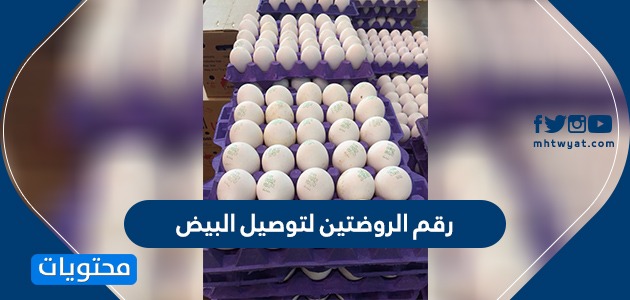 رقم شركة الروضتين لتوصيل البيض وقت الحظر الكلي في الكويت