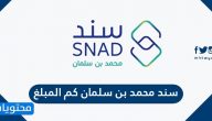 سند محمد بن سلمان كم المبلغ .. كم مبلغ سند محمد بن سلمان