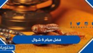 فضل صيام 6 شوال 1446-2025
