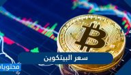 ماهو سعر البيتكوين واهم التوقعات لعام 2021