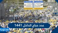 عدد حجاج الداخل 1441