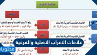 علامات الاعراب الاصلية والفرعية