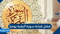 فضل قراءة سورة البقرة يومياً