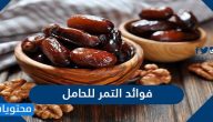 فوائد التمر للحامل