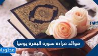 فوائد قراءة سورة البقرة يوميا