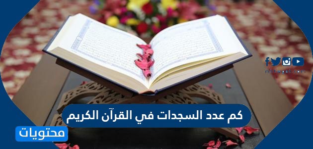السجدات في القرآن