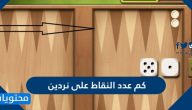 كم عدد النقاط على نردين