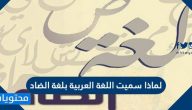 لماذا سميت اللغة العربية بلغة الضاد