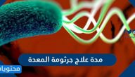 مدة علاج جرثومة المعدة