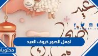 اجمل الصور خروف العيد الكبير 2025 / 1446