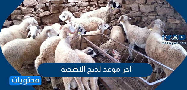 اخر يوم للضحية