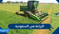 الزراعة في السعودية .. وأهم المحاصيل الزراعية في المملكة