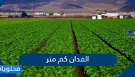 الفدان كم متر وكيلو وهكتار يساوي