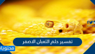 تفسير حلم الثعبان الاصفر