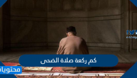 كم ركعة صلاة الضحى