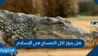 هل يجوز اكل التمساح والضفدع في الاسلام