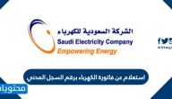استعلام عن فاتورة الكهرباء برقم السجل المدني