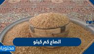 الصاع كم كيلو .. ما هو مقدار الصاع بالكيلو