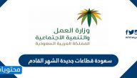 سعودة قطاعات جديدة الشهر القادم .. توطين 9 أنشطة جديدة