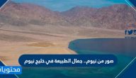 صور من نيوم .. جمال الطبيعة في خليج نيوم