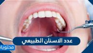 كم عدد الاسنان الطبيعي للإنسان