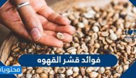 فوائد قشر القهوه وأضراره وأهم المعلومات عنه