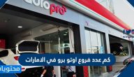 كم عدد فروع اوتو برو في الامارات