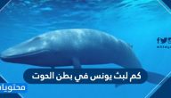 كم لبث يونس في بطن الحوت