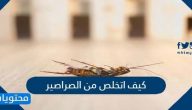 كيف اتخلص من الصراصير نهائيا وبطرق سهلة وفعالة