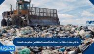 ما الذي يمكن أن يقلل من كمية المادة العضوية الملقاة في مواقع دفن النفايات