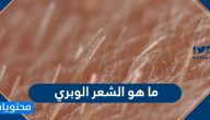 ما هو الشعر الوبري .. كيفية التخلص من الشعر الوبري