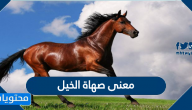 معنى صهاة الخيل
