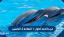 من ذاكرته أطول 1 النعامة 2 الدلفين