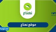 موقع نعناع .. رابط موقع نعناع دايركت لشراء وتوصيل المقاضي