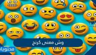 وش معنى كرنج ولماذا تستخدم