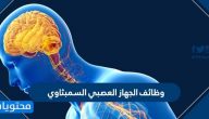 وظائف الجهاز العصبي السمبثاوي