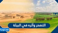التصحر وأثره على البيئة .. وسائل الحد من التصحر