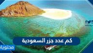 كم عدد جزر السعودية .. قائمة الجزر في المملكة العربية السعودية